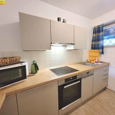 In - Steiermark 41124 Prázdninový dům *